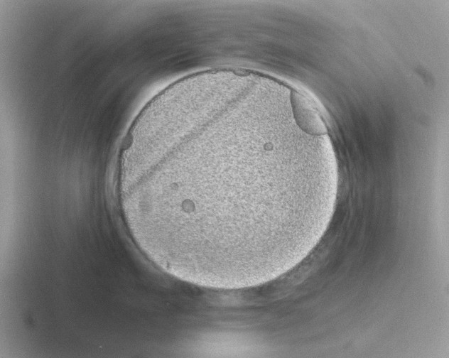 X0000116100911201001040949