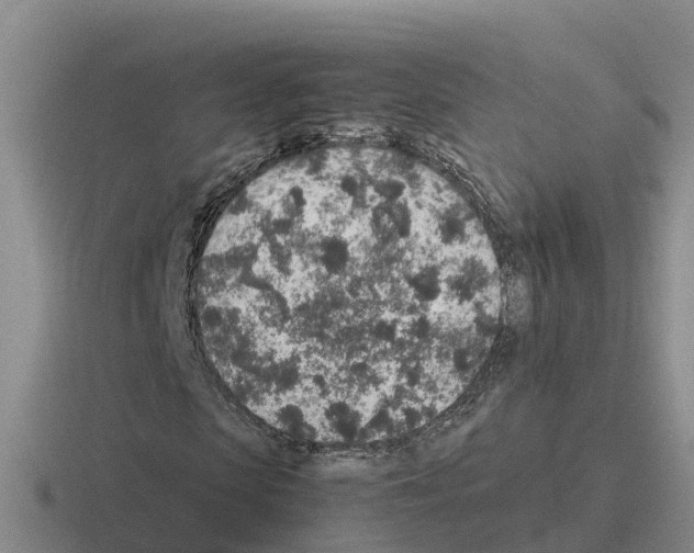 X0000116100913201001040949