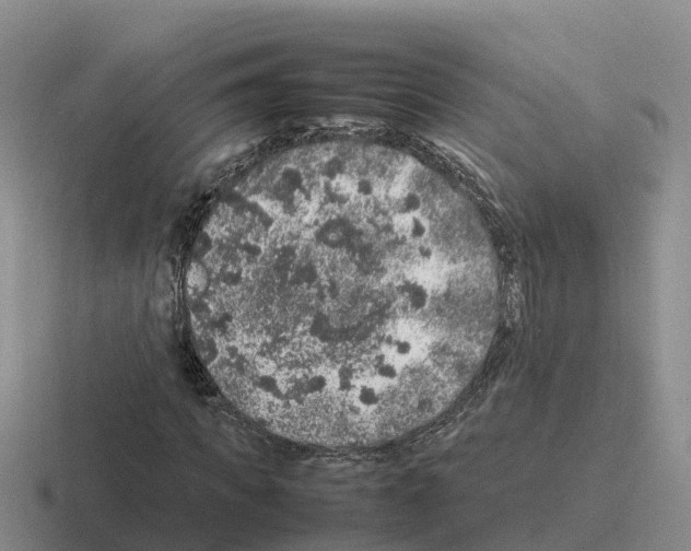 X0000116100917201001040949