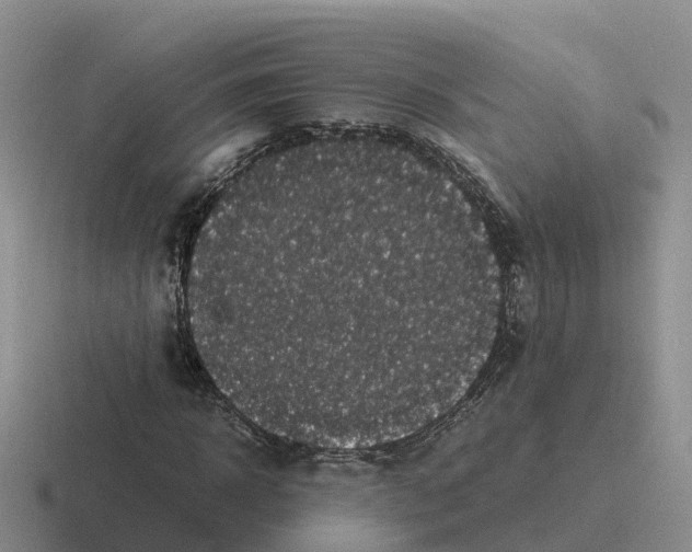 X0000116100918201001040949