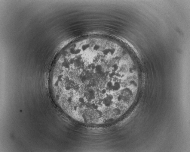 X0000116100921201001040949