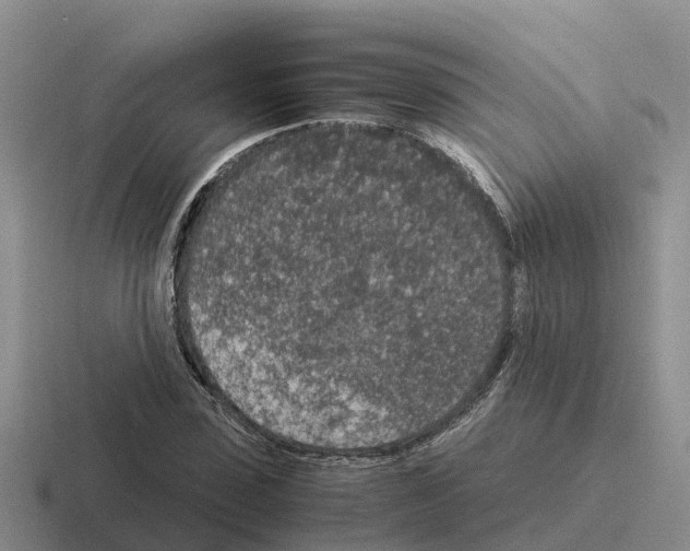 X0000116100923201001040949