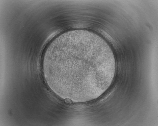 X0000116100930201001040949