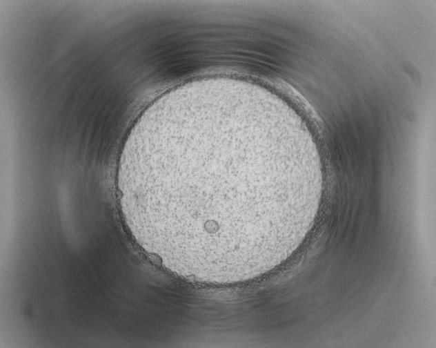 X0000116100937201001040949