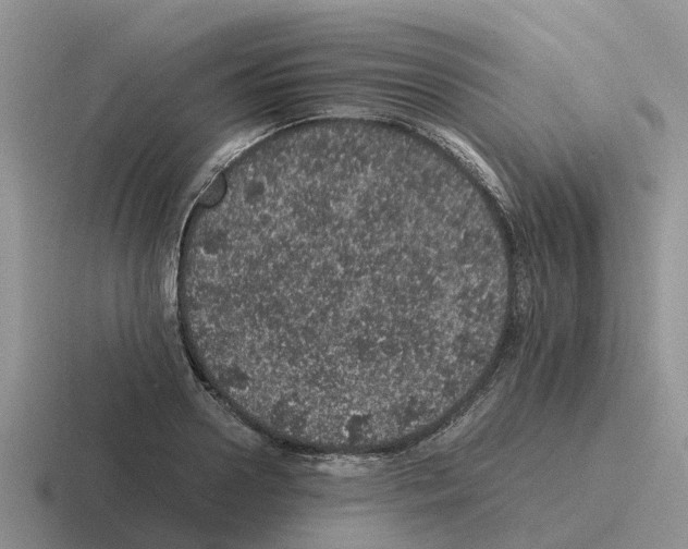 X0000116100938201001040949