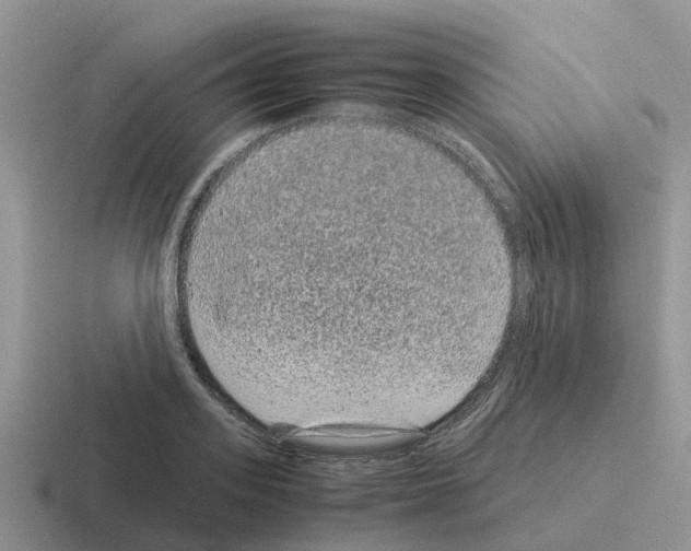 X0000116100939201001040949