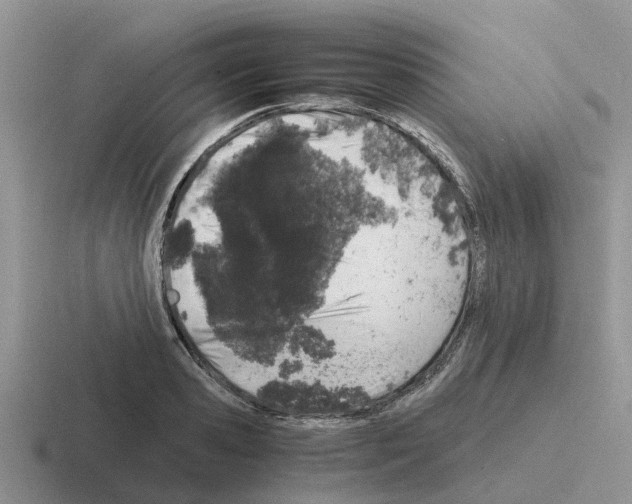 X0000116100941201001040949