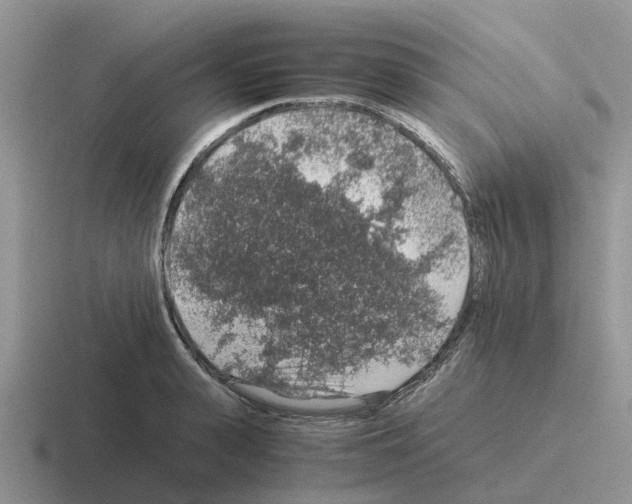 X0000116100943201001040949