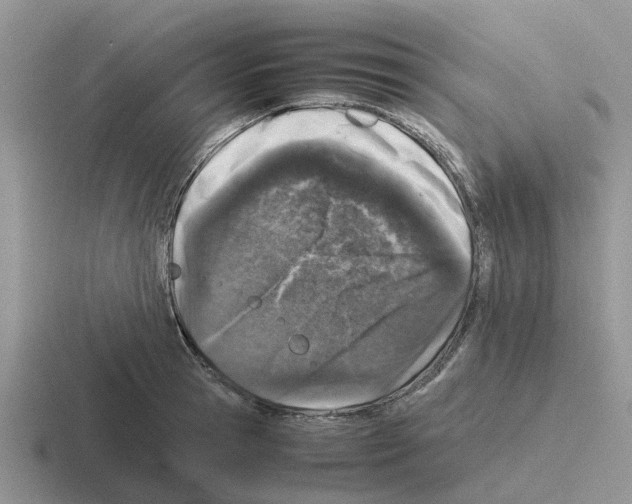 X0000116100945201001040949