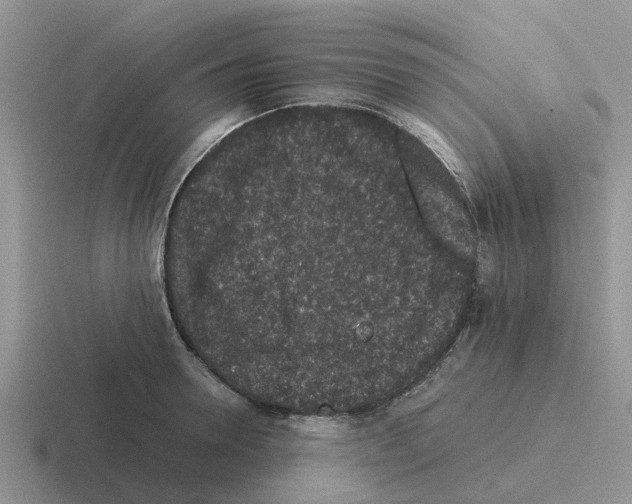 X0000116100946201001040949