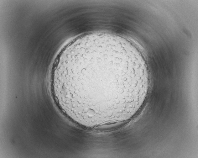 X0000116100949201001040949