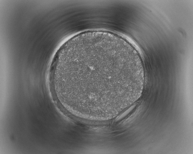 X0000116100951201001040949