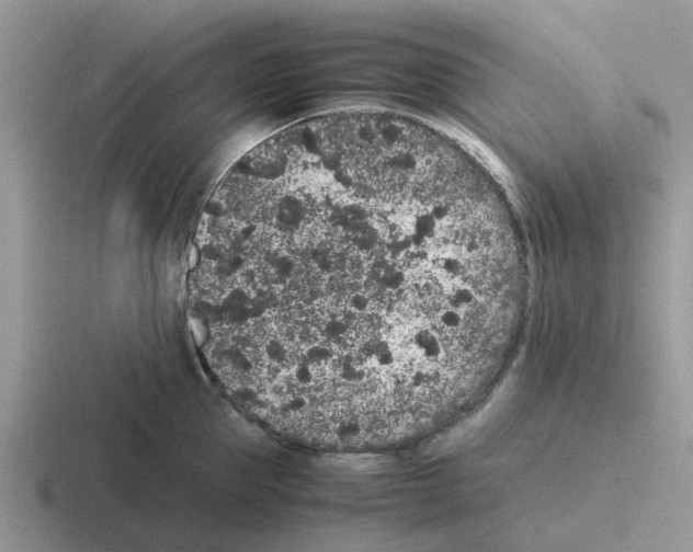 X0000116100953201001040949