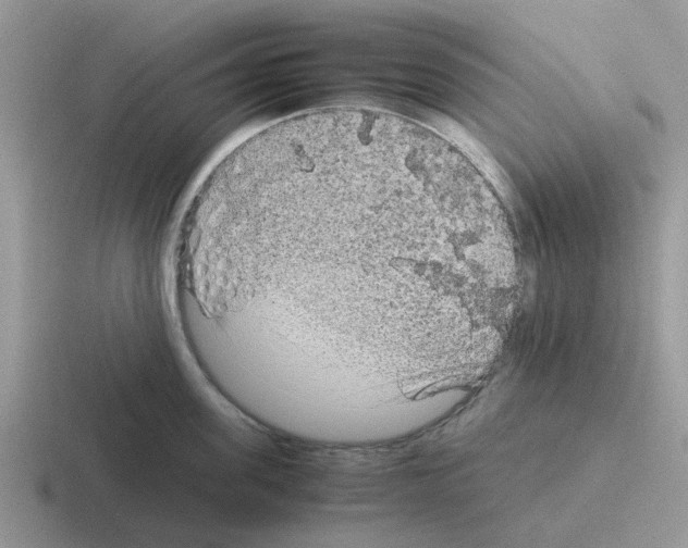 X0000116100955201001040949