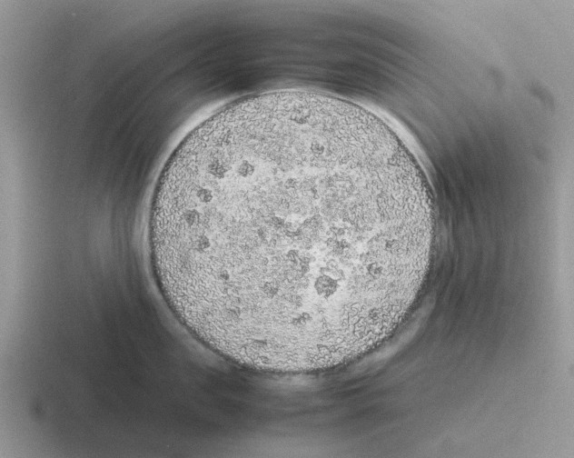 X0000116100957201001040949