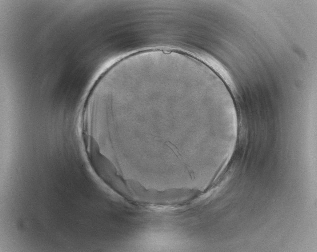 X0000116100958201001040949