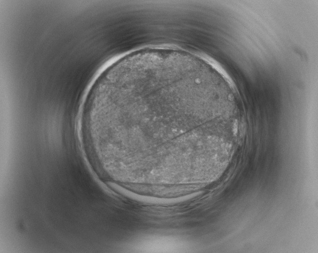 X0000116100959201001040949