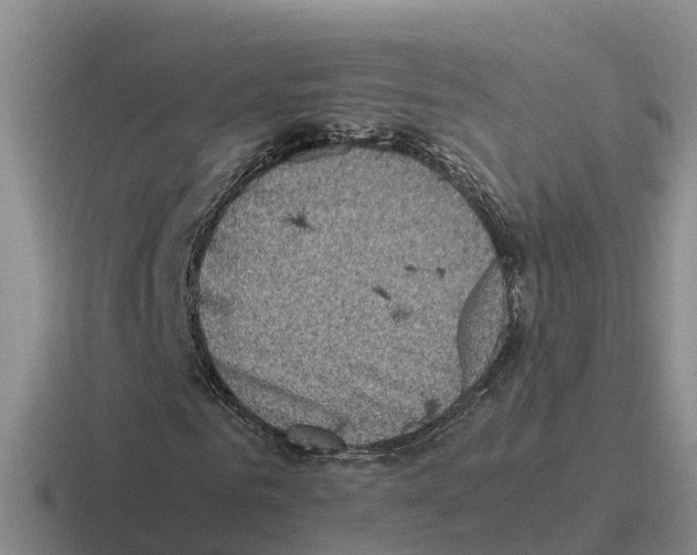 X0000116100961201001040949