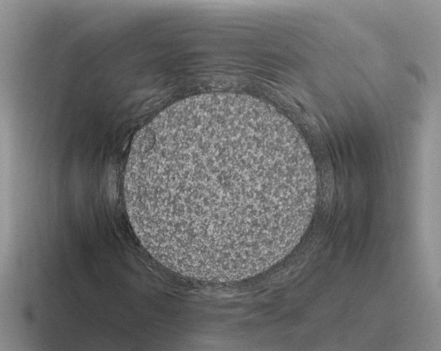 X0000116100962201001040949