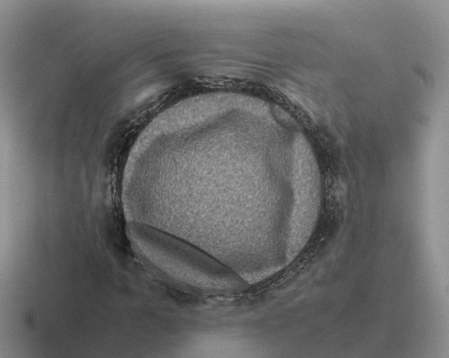 X0000116100965201001040948