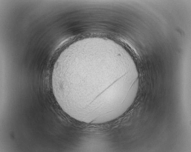 X0000116100968201001040948