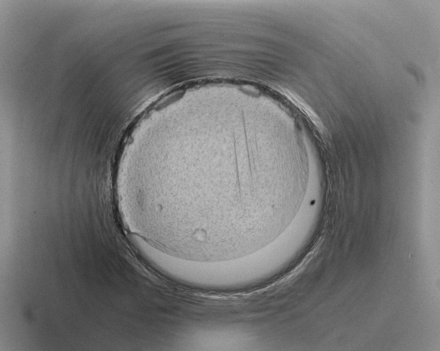 X0000116100969201001040948