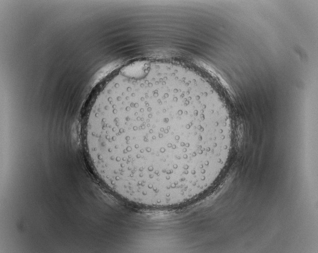 X0000116100970201001040948