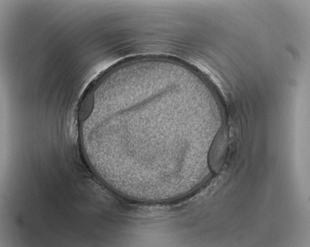 X0000116100973201001040948