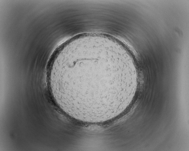 X0000116100974201001040948