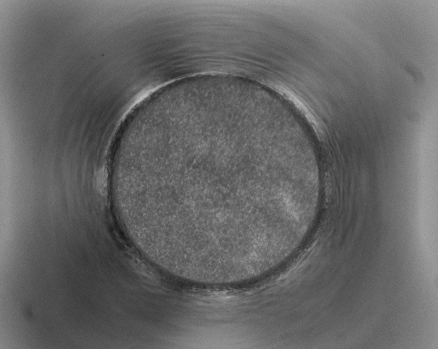 X0000116100975201001040948