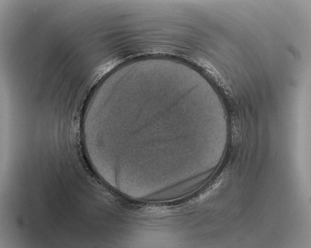 X0000116100977201001040948