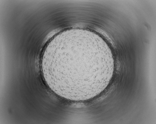 X0000116100978201001040948