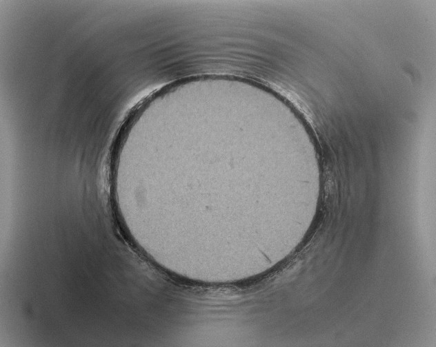 X0000116100979201001040948