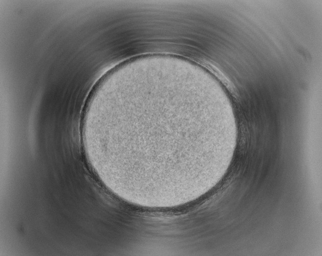 X0000116100980201001040948