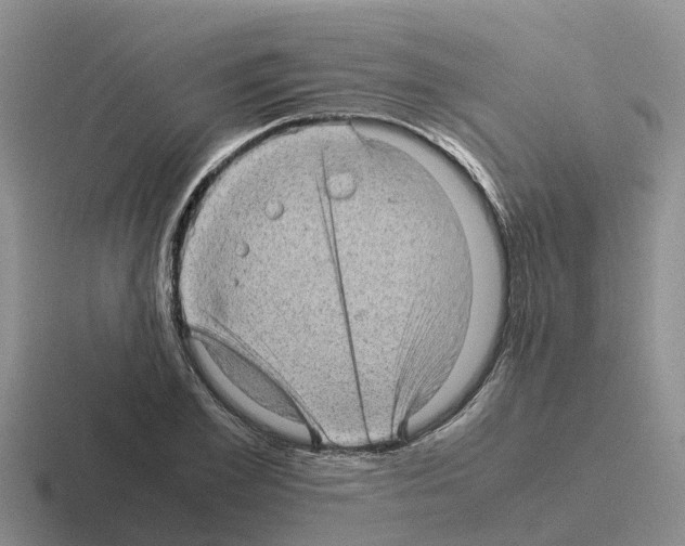 X0000116100981201001040948