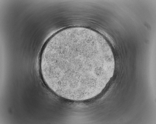 X0000116100983201001040948