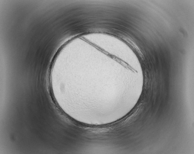 X0000116100984201001040948