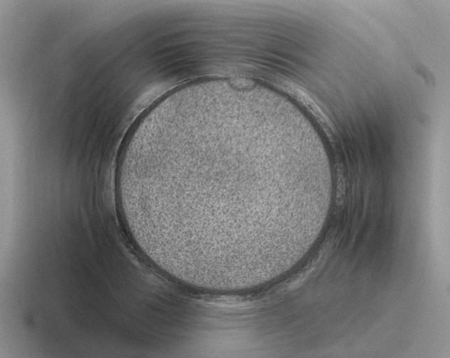 X0000116100986201001040948