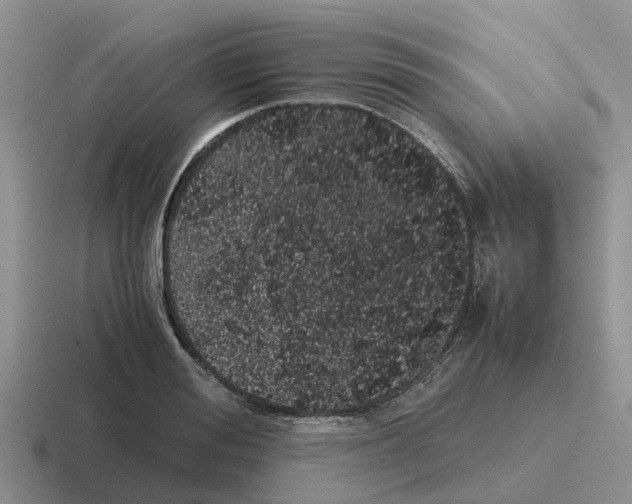 X0000116100988201001040948