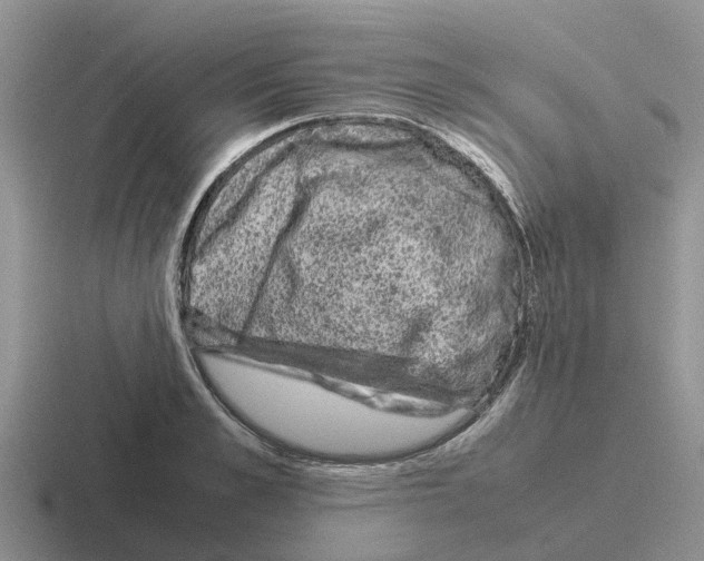 X0000116100989201001040948