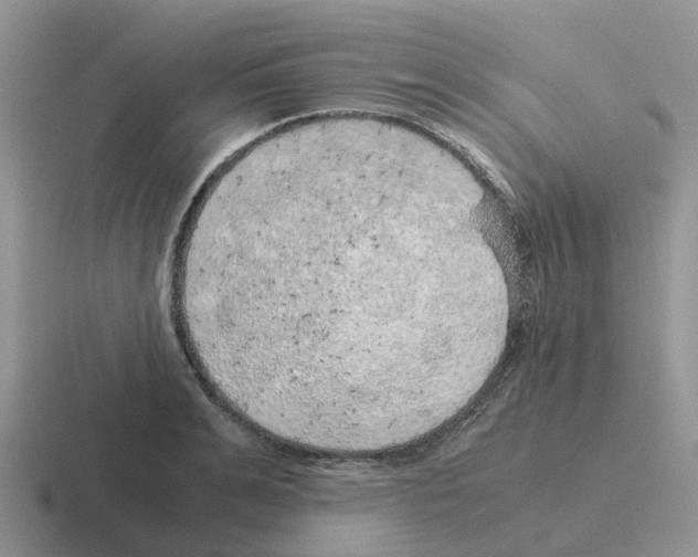 X0000116100991201001040948