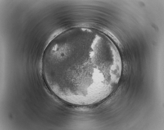 X0000116100994201001040948