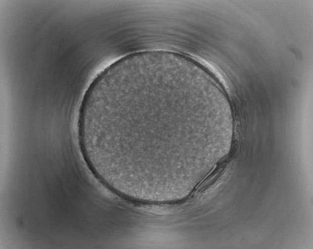 X0000116100995201001040948