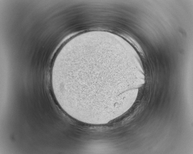 X0000116101000201001040948