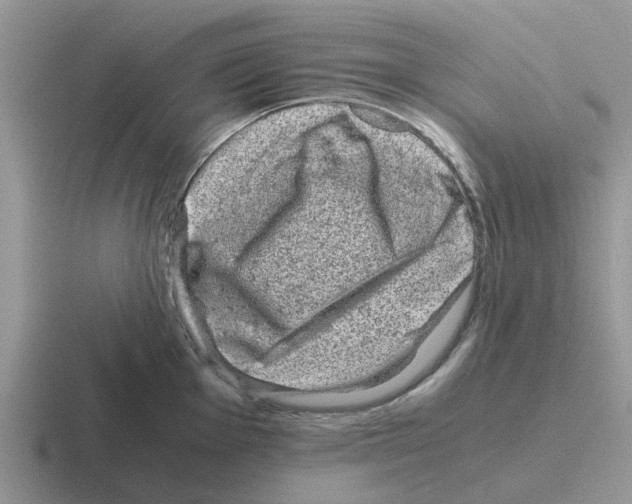 X0000116101001201001040948