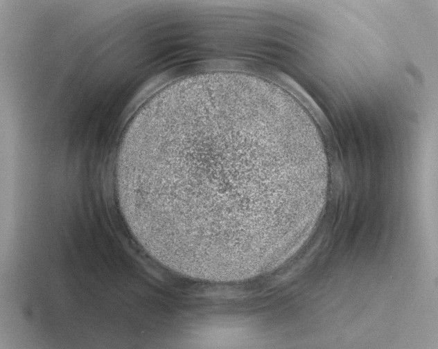 X0000116101002201001040948