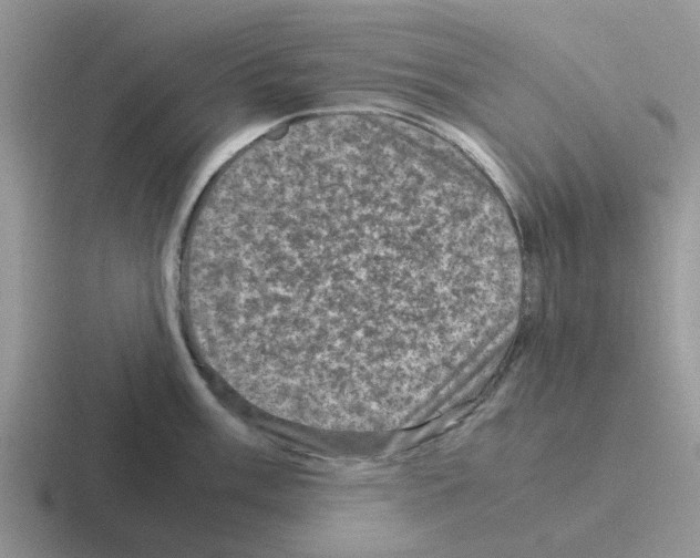 X0000116101003201001040948