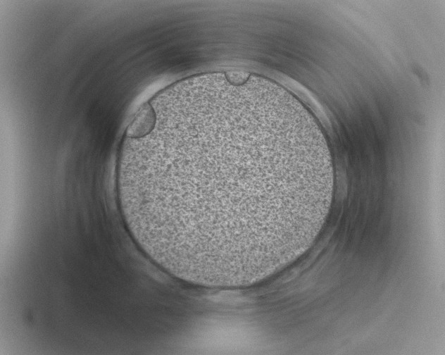 X0000116101006201001040948