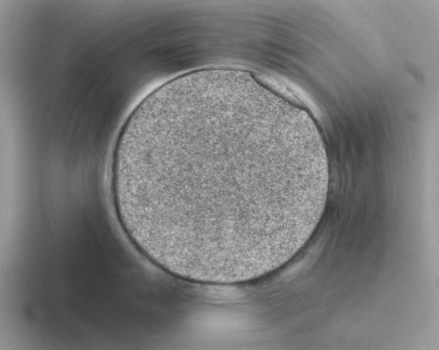 X0000116101007201001040948