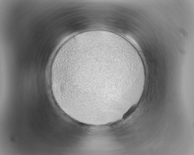 X0000116101008201001040948